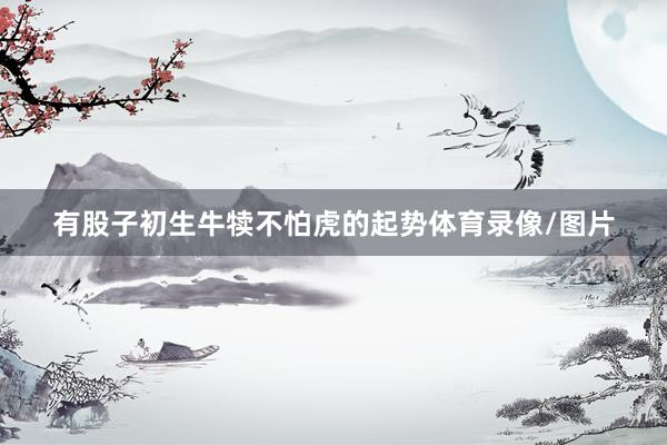 有股子初生牛犊不怕虎的起势体育录像/图片