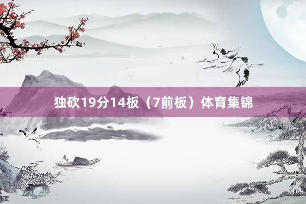 独砍19分14板（7前板）体育集锦