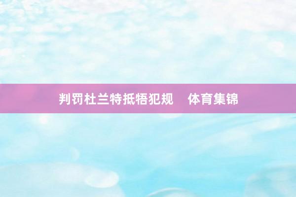 判罚杜兰特抵牾犯规    体育集锦