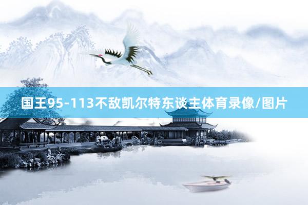 国王95-113不敌凯尔特东谈主体育录像/图片