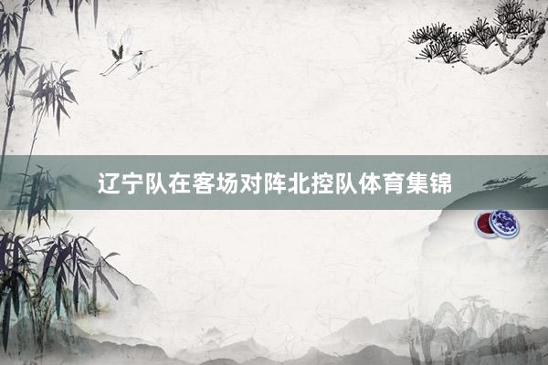 辽宁队在客场对阵北控队体育集锦