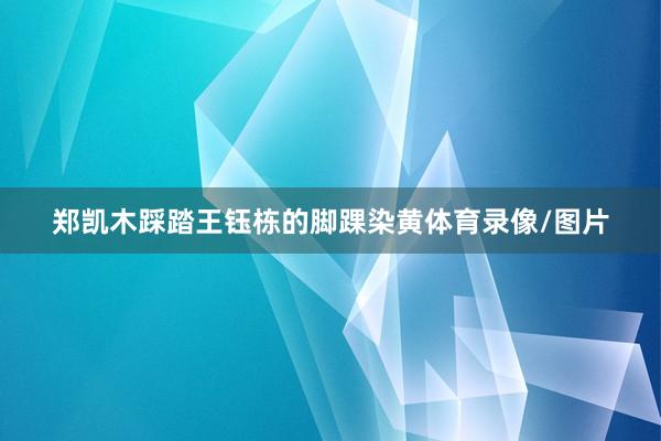 郑凯木踩踏王钰栋的脚踝染黄体育录像/图片