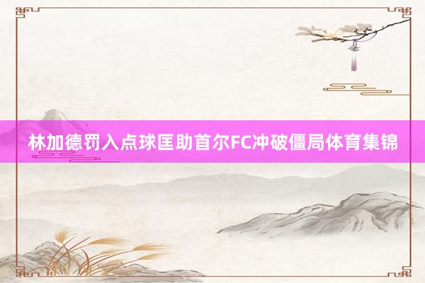 林加德罚入点球匡助首尔FC冲破僵局体育集锦