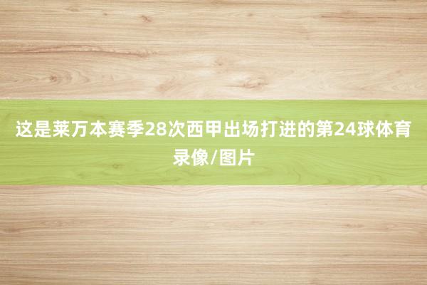这是莱万本赛季28次西甲出场打进的第24球体育录像/图片
