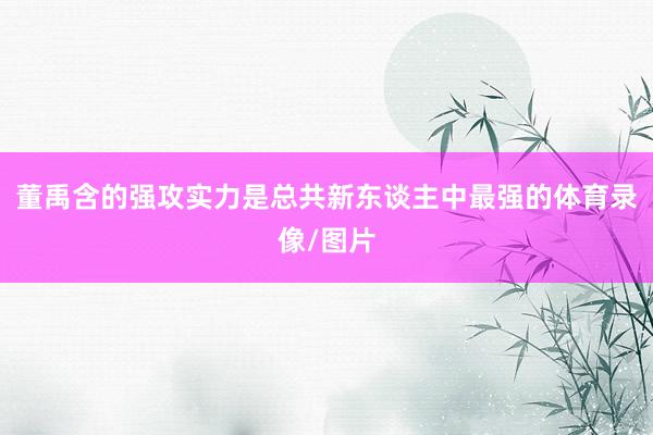 董禹含的强攻实力是总共新东谈主中最强的体育录像/图片