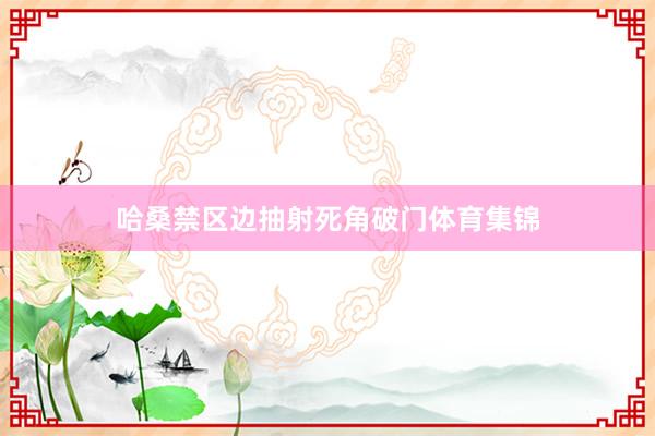 哈桑禁区边抽射死角破门体育集锦