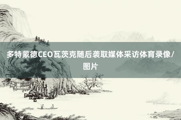 多特蒙德CEO瓦茨克随后袭取媒体采访体育录像/图片