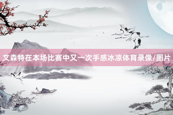 文森特在本场比赛中又一次手感冰凉体育录像/图片