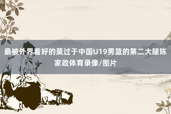 最被外界看好的莫过于中国U19男篮的第二大腿陈家政体育录像/图片