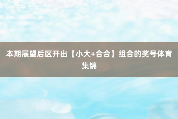 本期展望后区开出【小大+合合】组合的奖号体育集锦