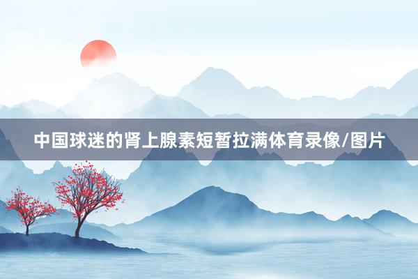 中国球迷的肾上腺素短暂拉满体育录像/图片
