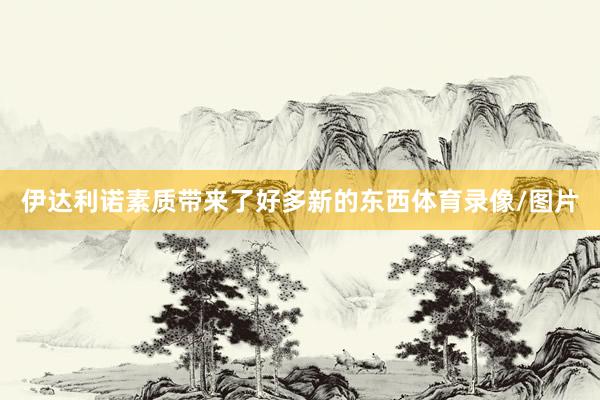 伊达利诺素质带来了好多新的东西体育录像/图片
