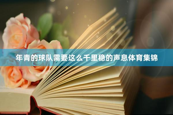 年青的球队需要这么千里稳的声息体育集锦