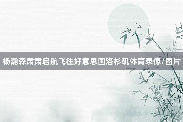 杨瀚森肃肃启航飞往好意思国洛杉矶体育录像/图片