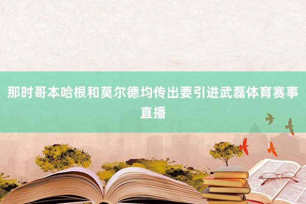 那时哥本哈根和莫尔德均传出要引进武磊体育赛事直播