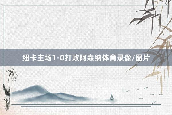 纽卡主场1-0打败阿森纳体育录像/图片