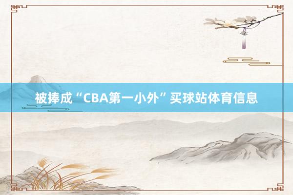 被捧成“CBA第一小外”买球站体育信息