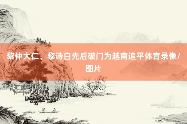 黎仲大仁、黎诗白先后破门为越南追平体育录像/图片