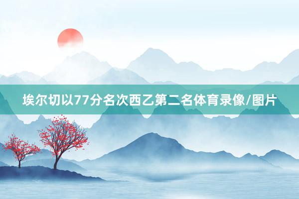 埃尔切以77分名次西乙第二名体育录像/图片