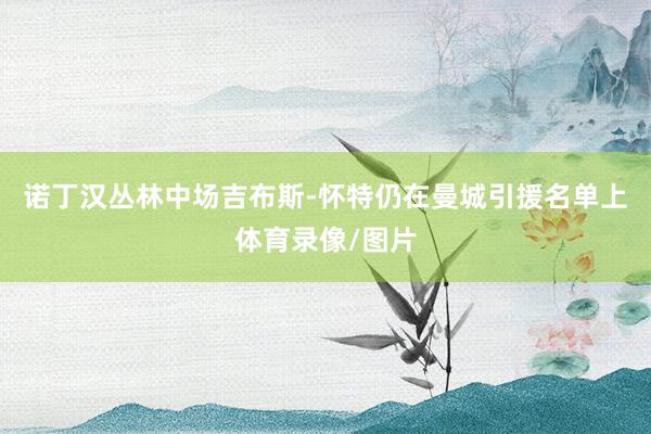诺丁汉丛林中场吉布斯-怀特仍在曼城引援名单上体育录像/图片