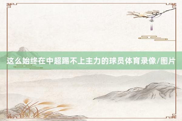 这么始终在中超踢不上主力的球员体育录像/图片