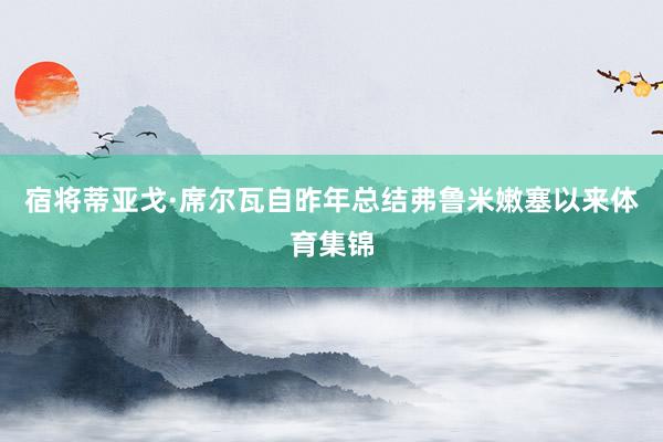 宿将蒂亚戈·席尔瓦自昨年总结弗鲁米嫩塞以来体育集锦