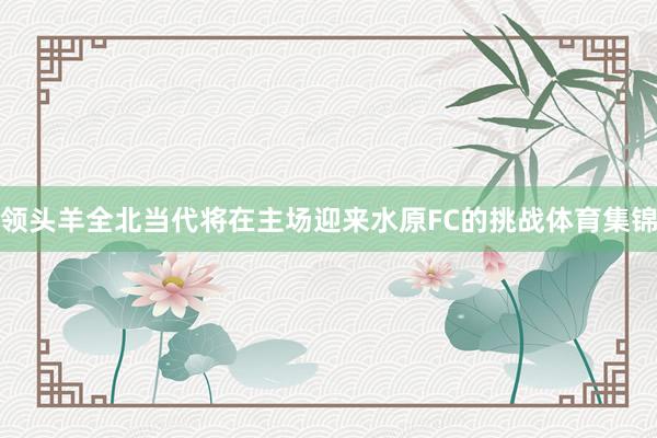 领头羊全北当代将在主场迎来水原FC的挑战体育集锦