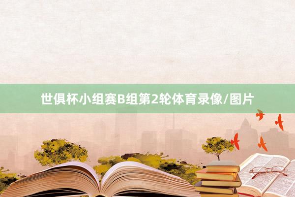 世俱杯小组赛B组第2轮体育录像/图片