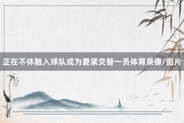 正在不休融入球队成为要紧交替一员体育录像/图片
