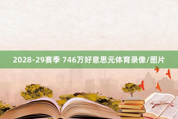 2028-29赛季 746万好意思元体育录像/图片