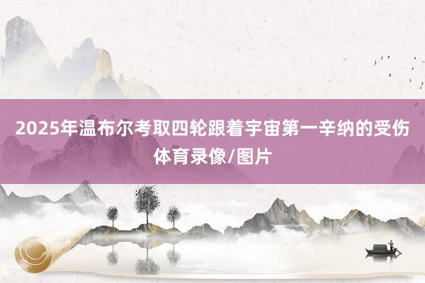 2025年温布尔考取四轮跟着宇宙第一辛纳的受伤体育录像/图片