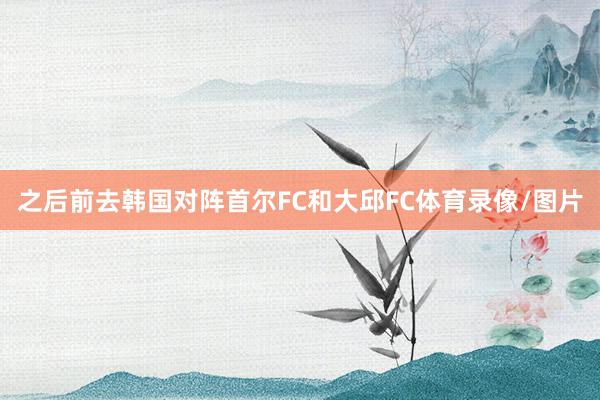 之后前去韩国对阵首尔FC和大邱FC体育录像/图片