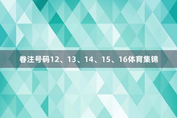 眷注号码12、13、14、15、16体育集锦