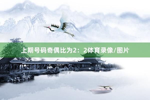 上期号码奇偶比为2：2体育录像/图片