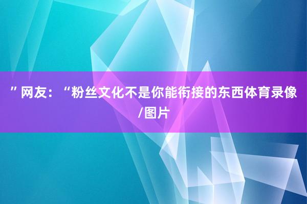 ”网友：“粉丝文化不是你能衔接的东西体育录像/图片