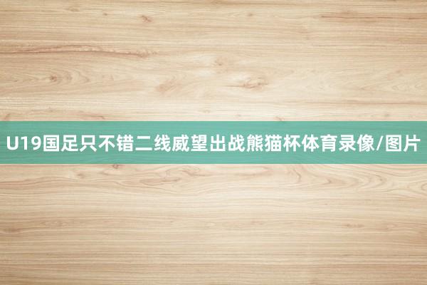 U19国足只不错二线威望出战熊猫杯体育录像/图片