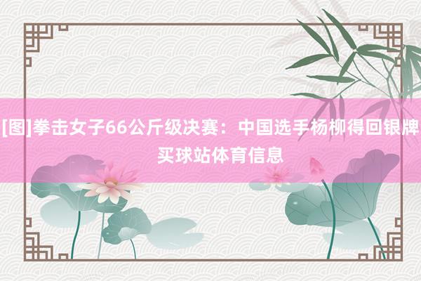 [图]拳击女子66公斤级决赛：中国选手杨柳得回银牌    买球站体育信息