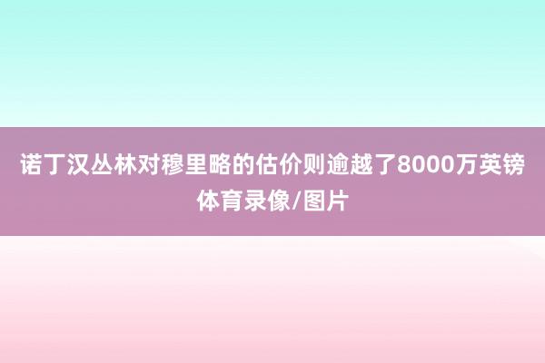诺丁汉丛林对穆里略的估价则逾越了8000万英镑体育录像/图片