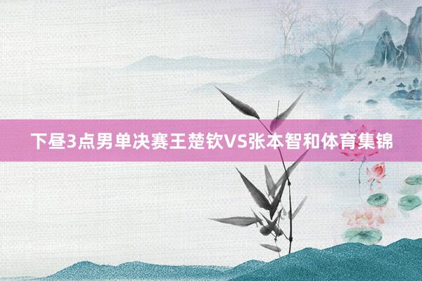 下昼3点男单决赛王楚钦VS张本智和体育集锦