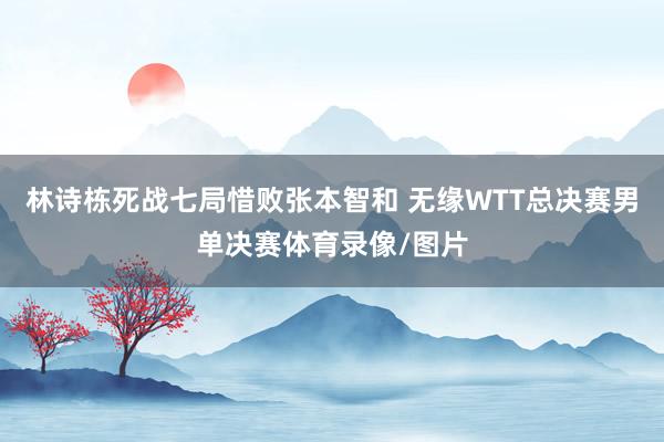 林诗栋死战七局惜败张本智和 无缘WTT总决赛男单决赛体育录像/图片