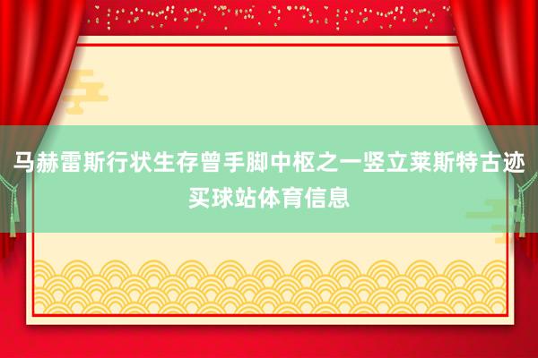 马赫雷斯行状生存曾手脚中枢之一竖立莱斯特古迹买球站体育信息