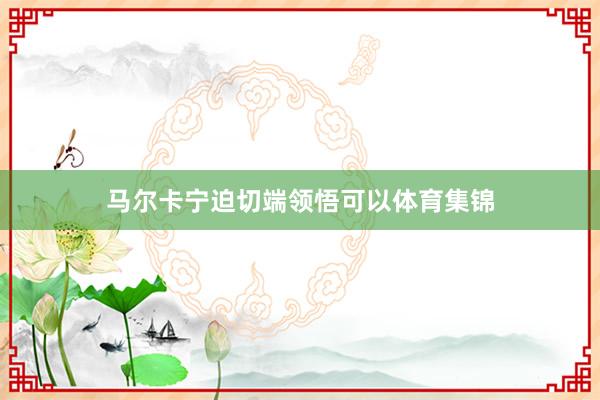 马尔卡宁迫切端领悟可以体育集锦