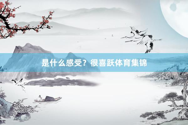 是什么感受？　　很喜跃体育集锦
