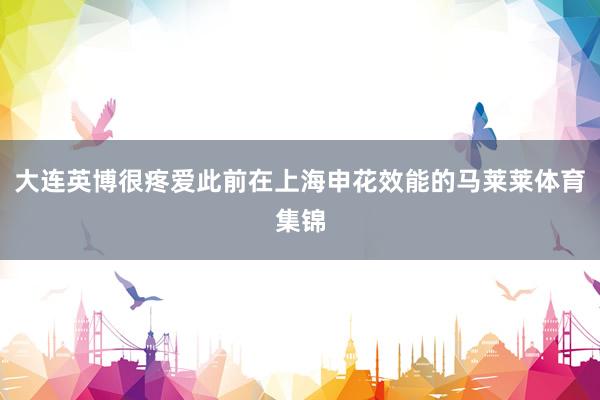 大连英博很疼爱此前在上海申花效能的马莱莱体育集锦