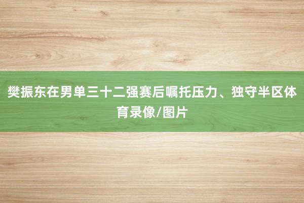 樊振东在男单三十二强赛后嘱托压力、独守半区体育录像/图片