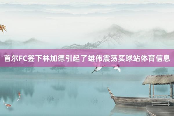 首尔FC签下林加德引起了雄伟震荡买球站体育信息