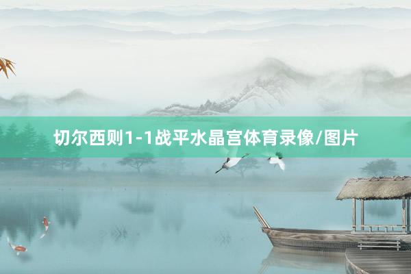 切尔西则1-1战平水晶宫体育录像/图片