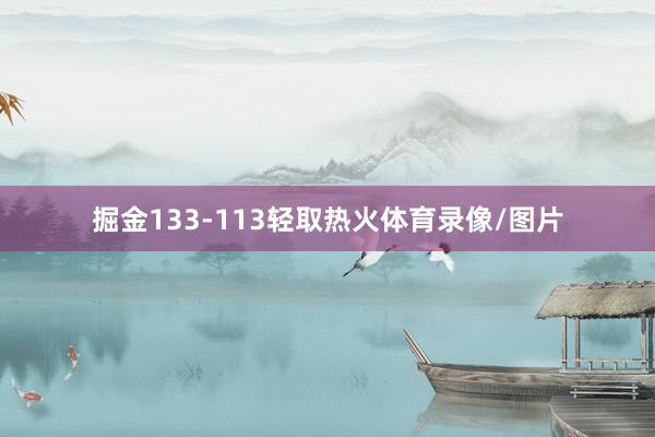 掘金133-113轻取热火体育录像/图片