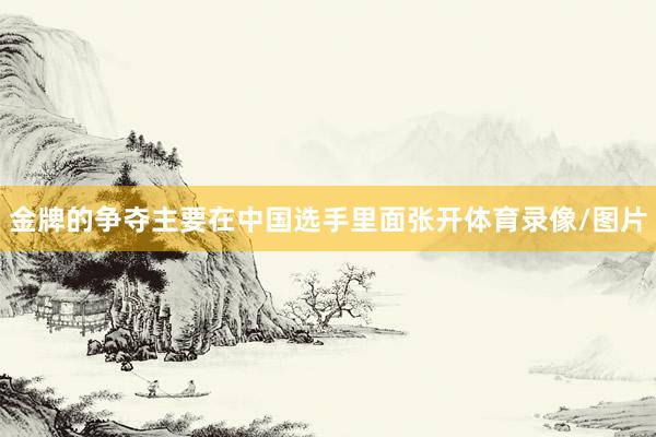 金牌的争夺主要在中国选手里面张开体育录像/图片