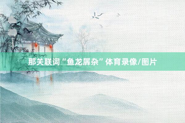 那关联词“鱼龙羼杂”体育录像/图片